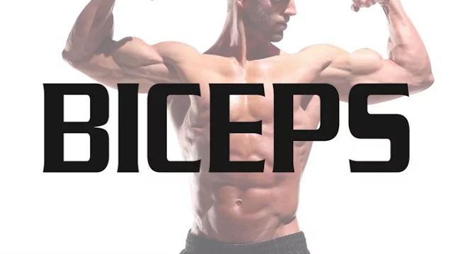 bicpes